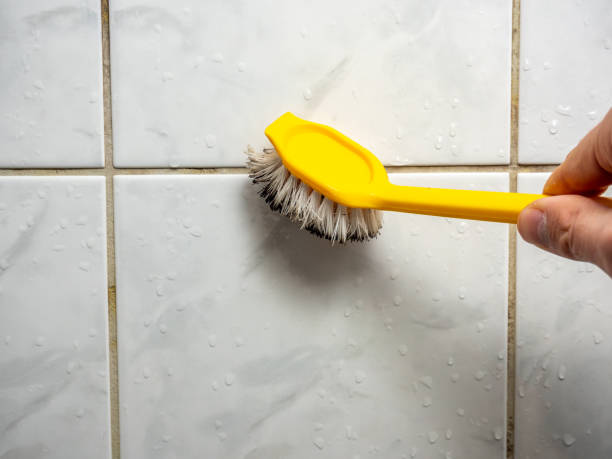 Best Mold Damage Repair  in Green Cove Springs, FL